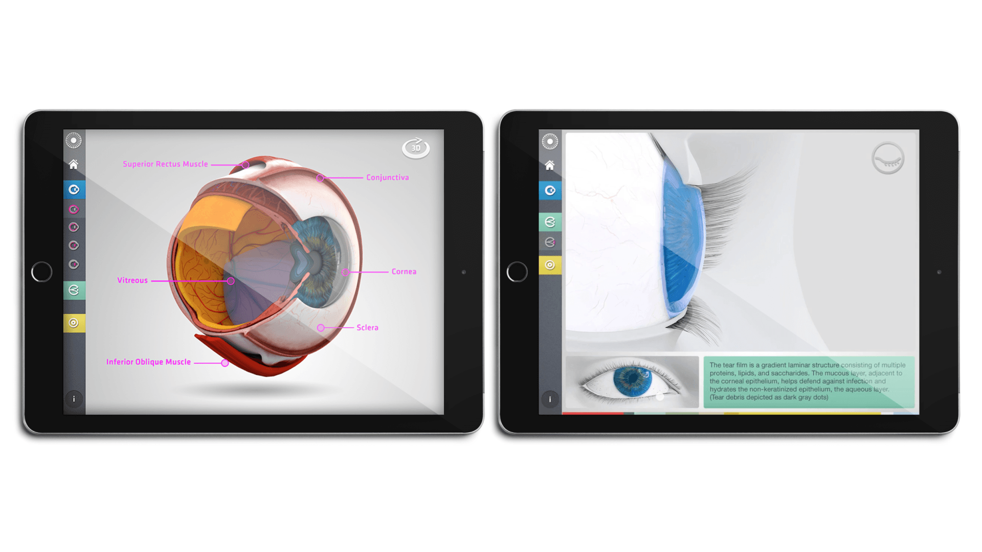 J&J Total Vision Care hero image